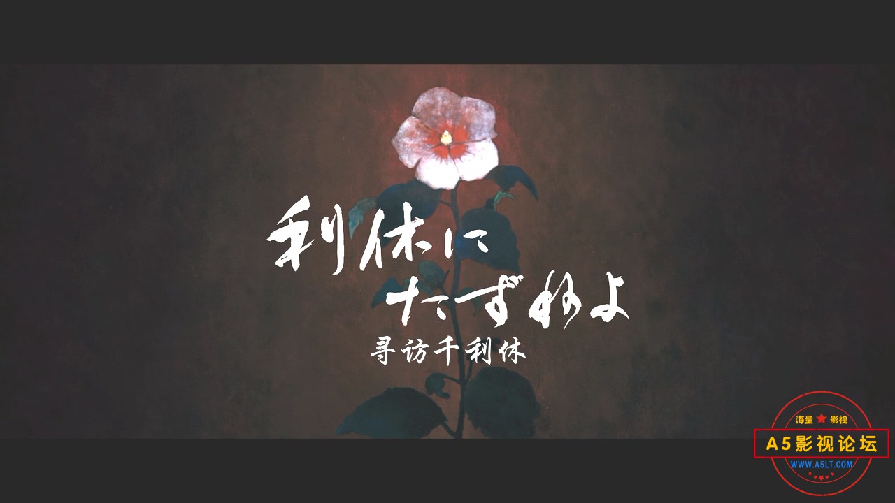 寻访千利休.mp4_20220503_161439.549.jpg