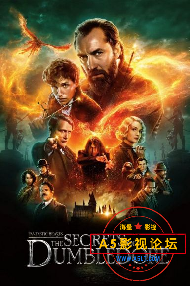 神奇动物：邓布利多之谜.png