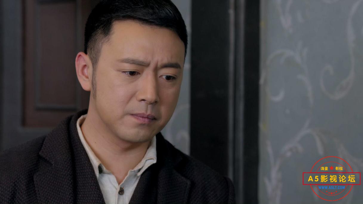 电视剧战火中的兄弟迅雷云盘下载