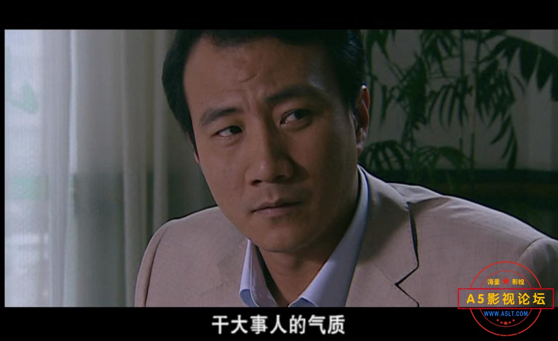 电视剧岁月下载
