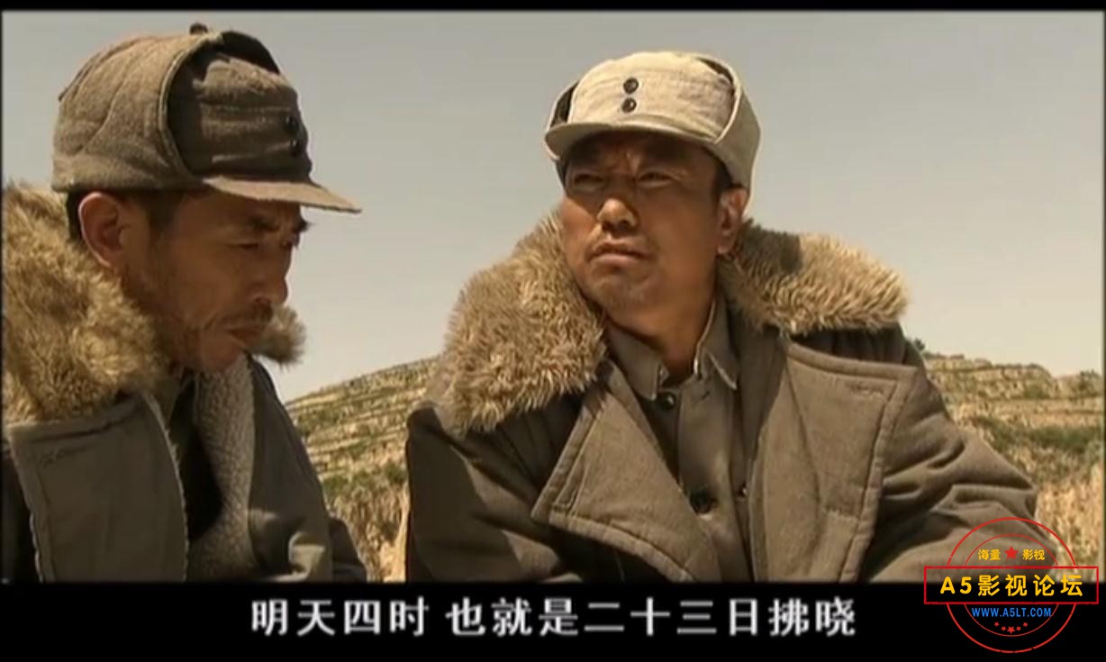 电视剧保卫延安迅雷云盘下载