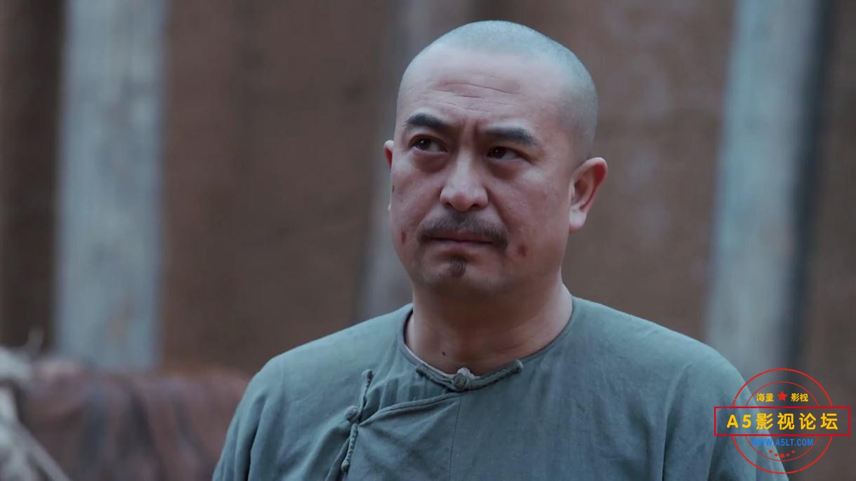 白鹿原百度网盘下载