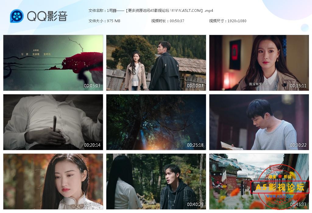 电视剧司藤迅雷云盘下载
