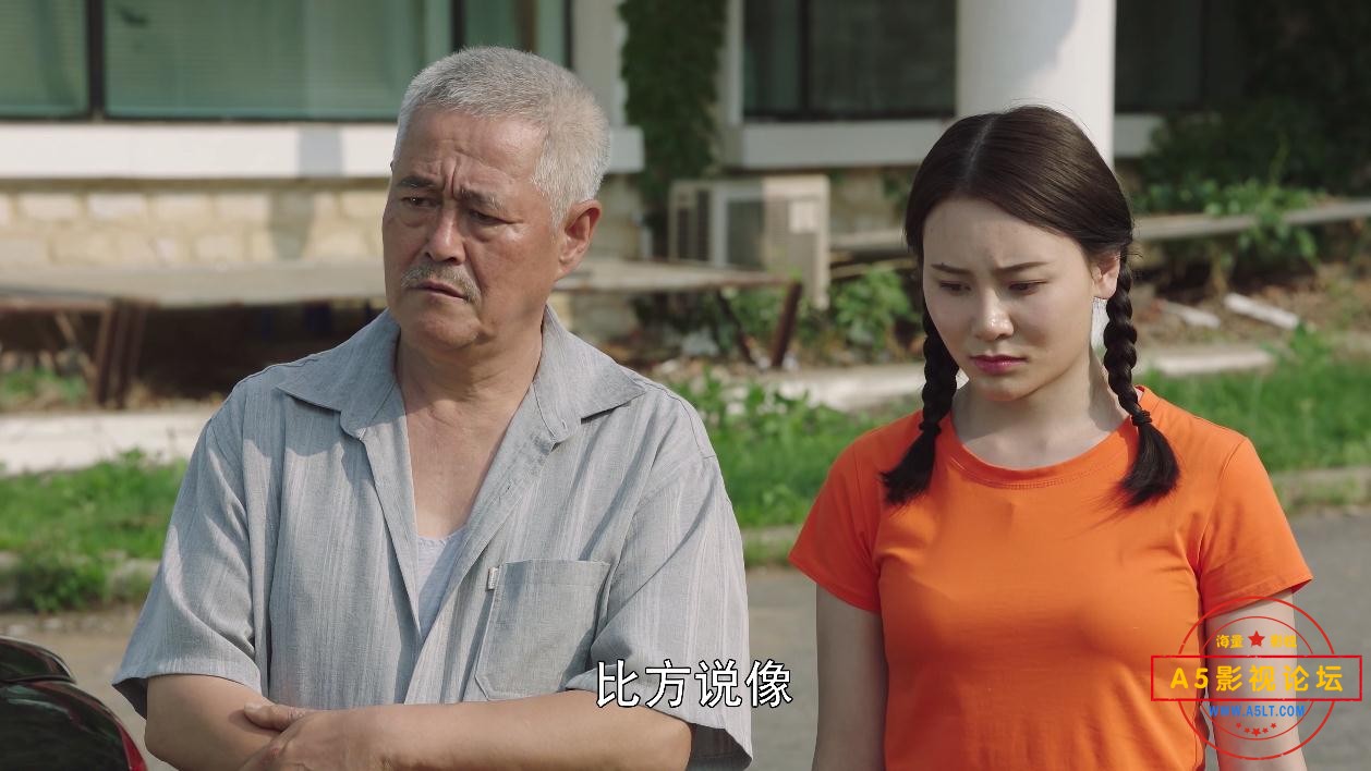 电视剧刘老根迅雷云盘下载