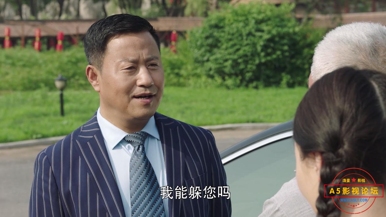 电视剧刘老根迅雷云盘下载