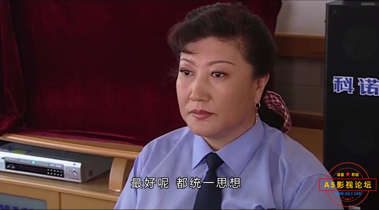 电视剧刘老根迅雷云盘下载