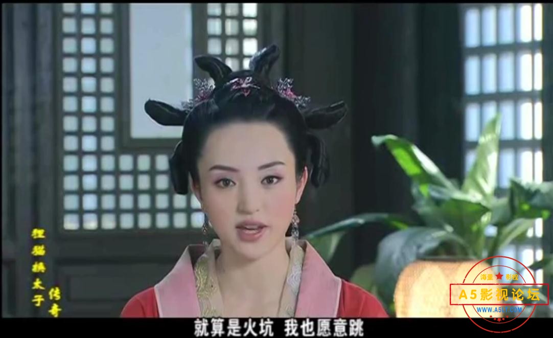 电视剧狸猫换太子传奇下载