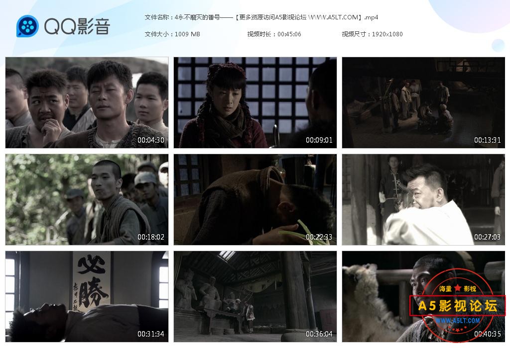 那里可以下载永不磨灭的番号