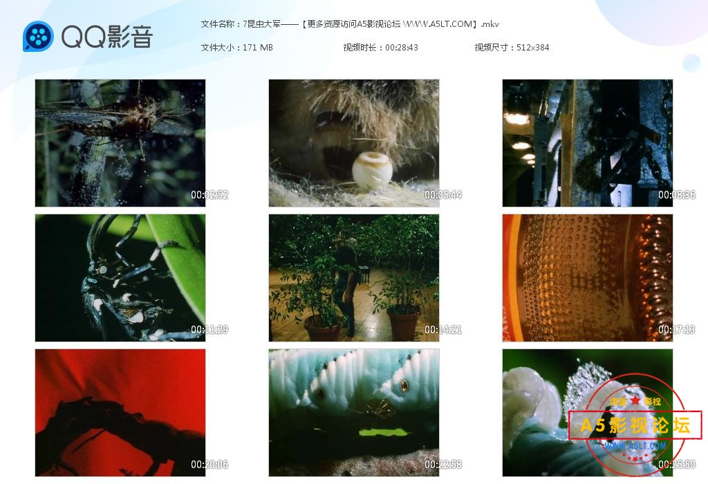 昆虫帝国百度网盘下载