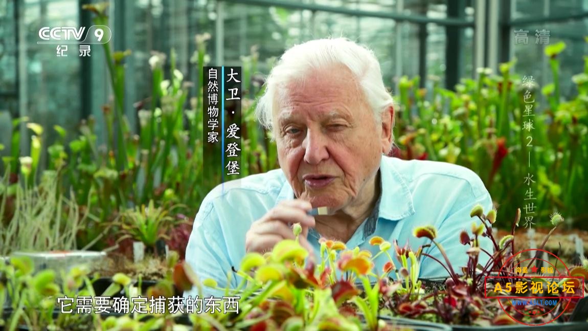 电视剧绿色星球下载