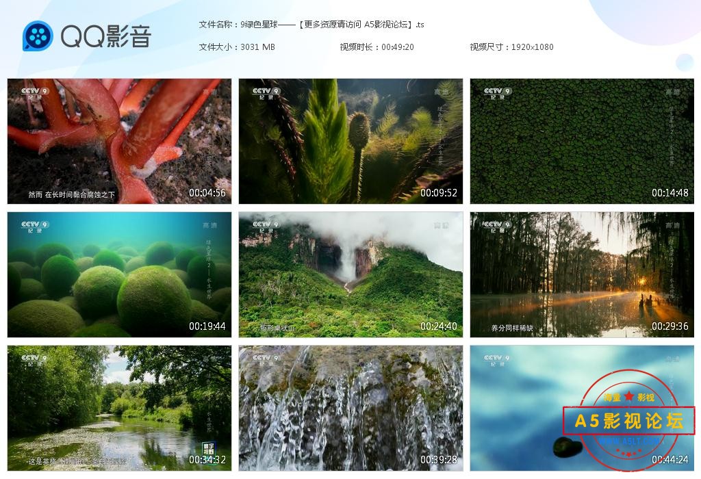 电视剧绿色星球下载