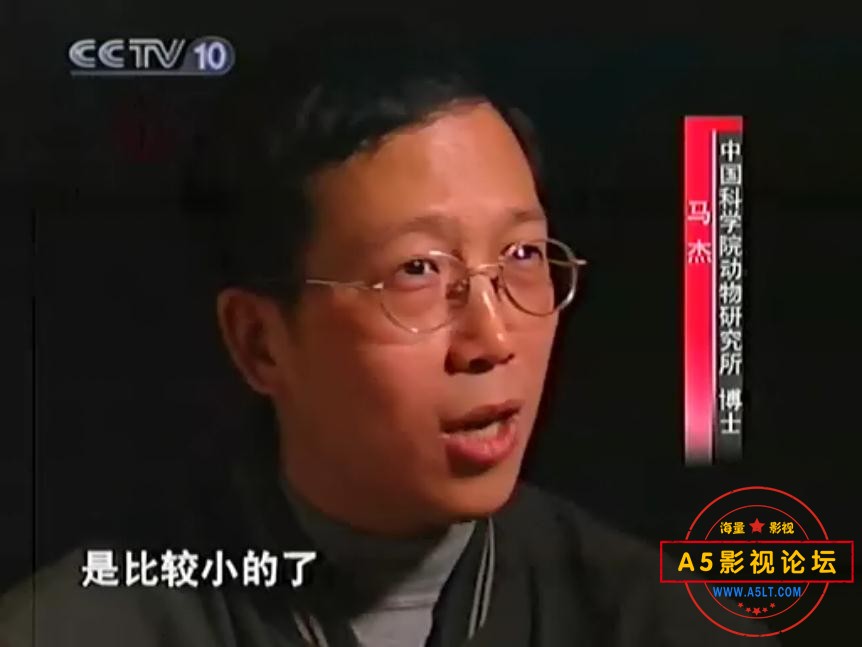 国产剧秘境追踪系列那里可以下载
