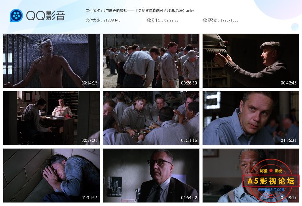 那里可以下载肖申克的救赎