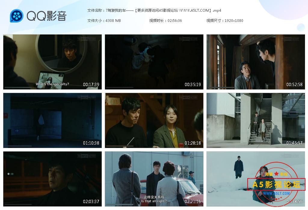 电影驾驶我的车下载