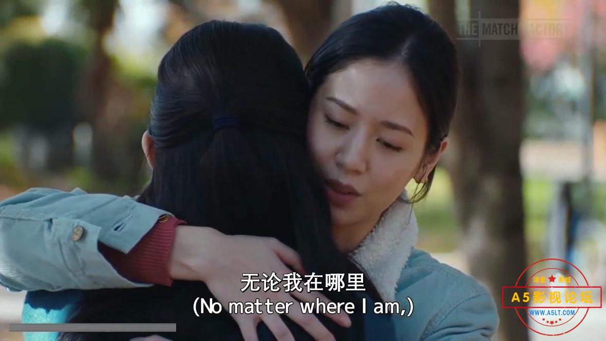 驾驶我的车粤语高清下载