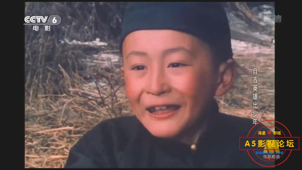 电影自古英雄出少年迅雷云盘下载