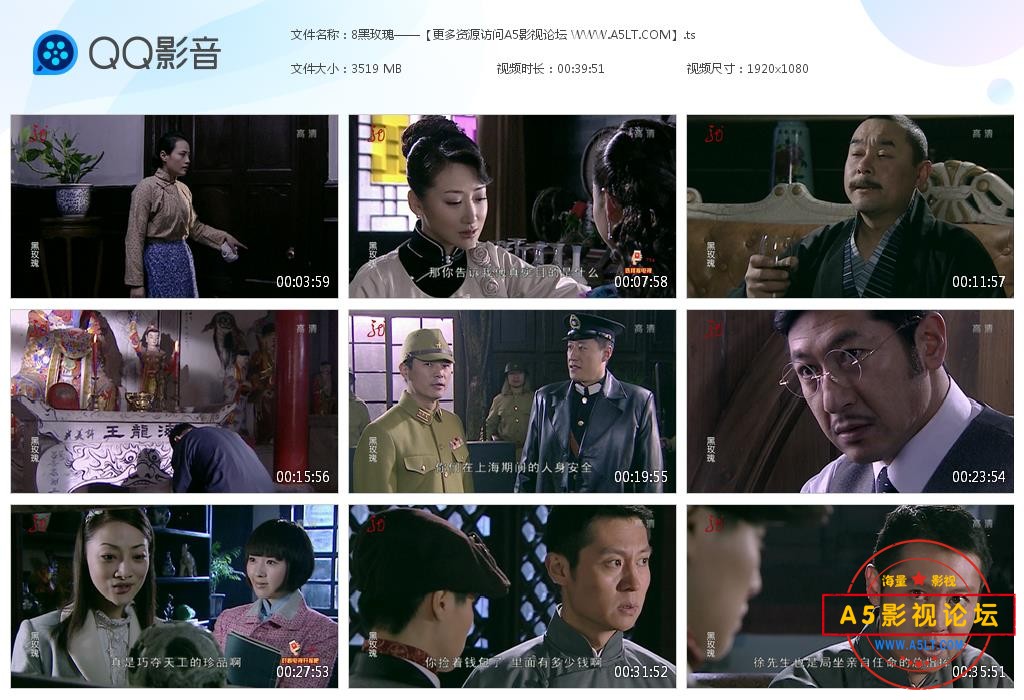 电视剧黑玫瑰网盘资源