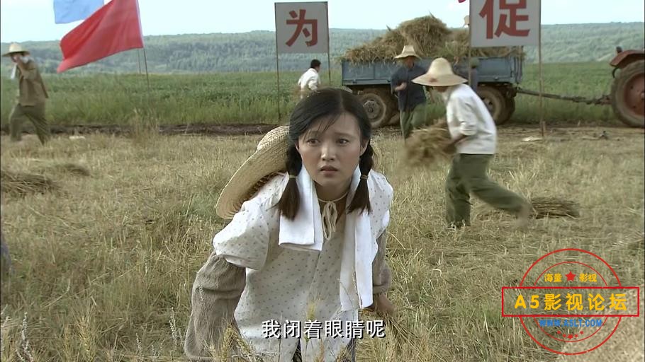电视剧知青网盘资源