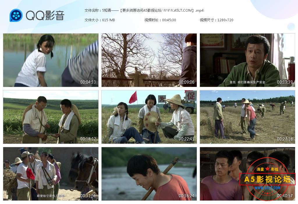电视剧知青网盘资源
