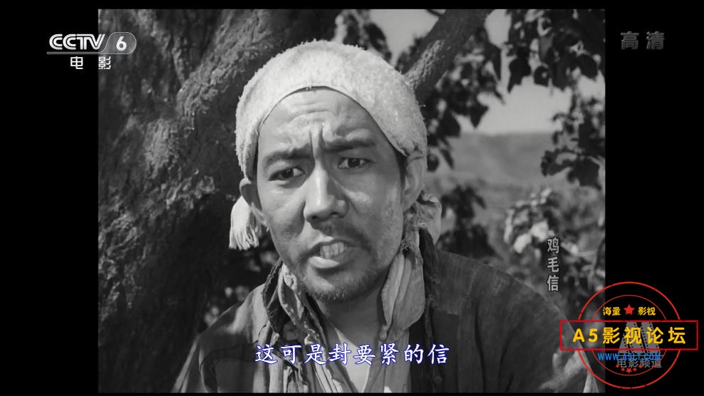 电影鸡毛信迅雷云盘下载