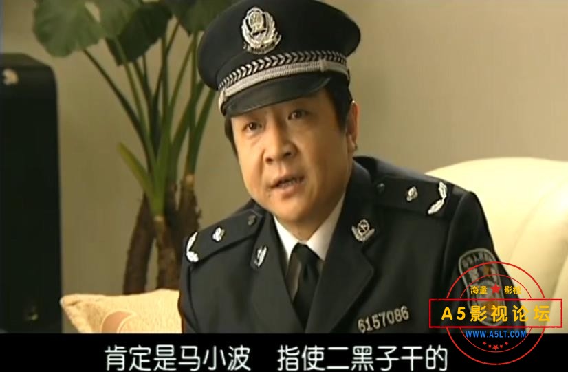 电视剧龙年档案网盘下载