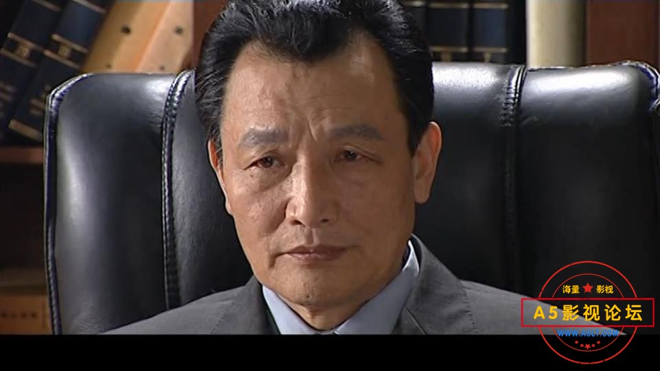 电视剧龙年档案下载