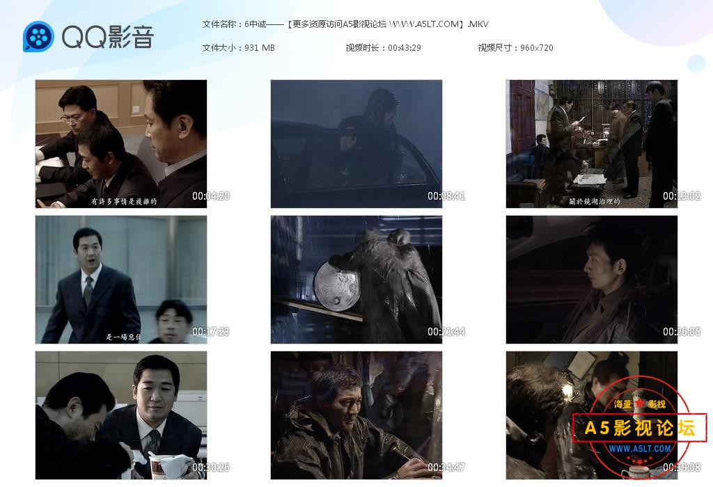 电视剧忠诚网盘下载