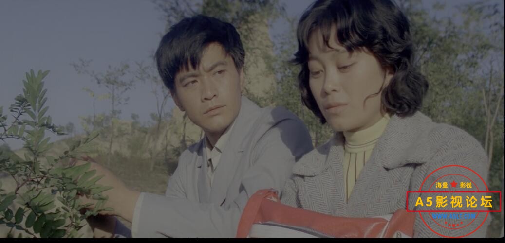 人生高清国语下载