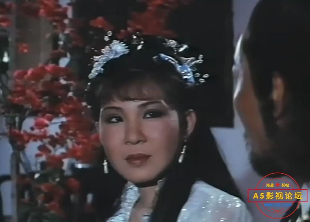 神雕英雄之义侠萧石[00_58_50][20220925-185629-7].JPG