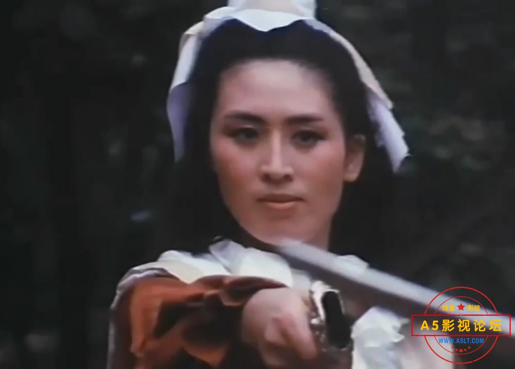 神雕英雄之义侠萧石[00_48_01][20220925-185554-6].JPG