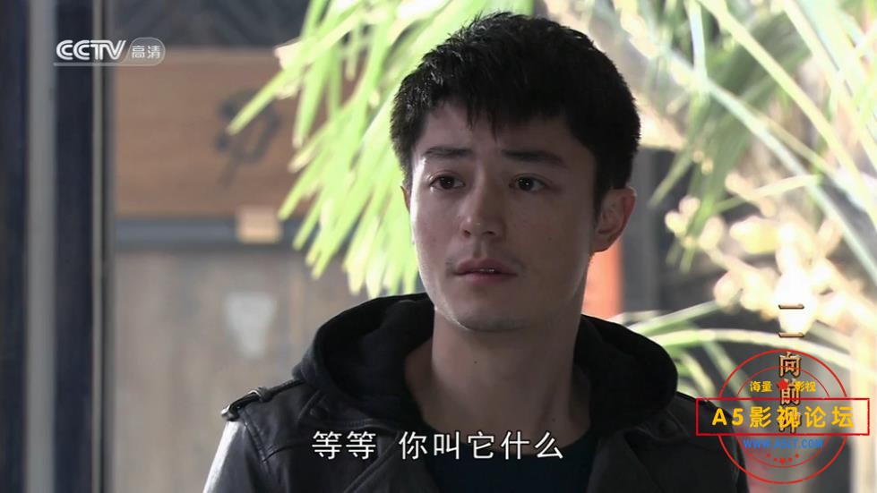 电视剧一一向前冲网盘资源