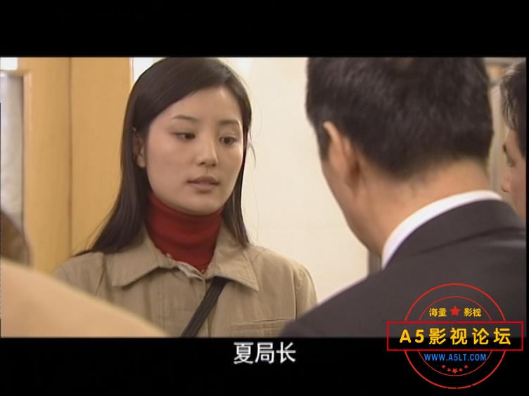 电视剧省委书记网盘资源