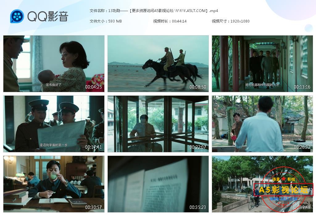 电视剧功勋迅雷云盘下载