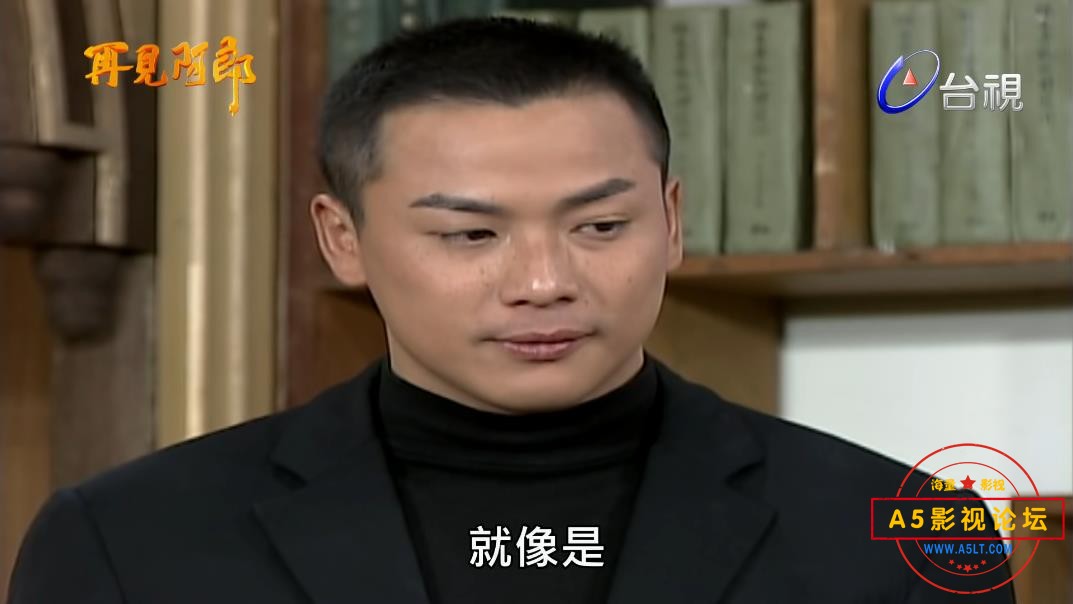 电视剧再见阿郎迅雷云盘下载