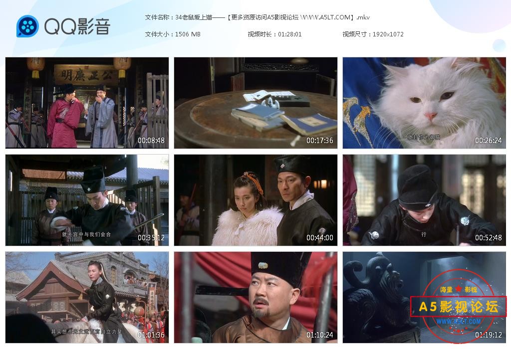 电影老鼠爱上猫网盘资源