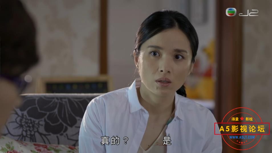 虎妈猫爸嵩百度网盘下载