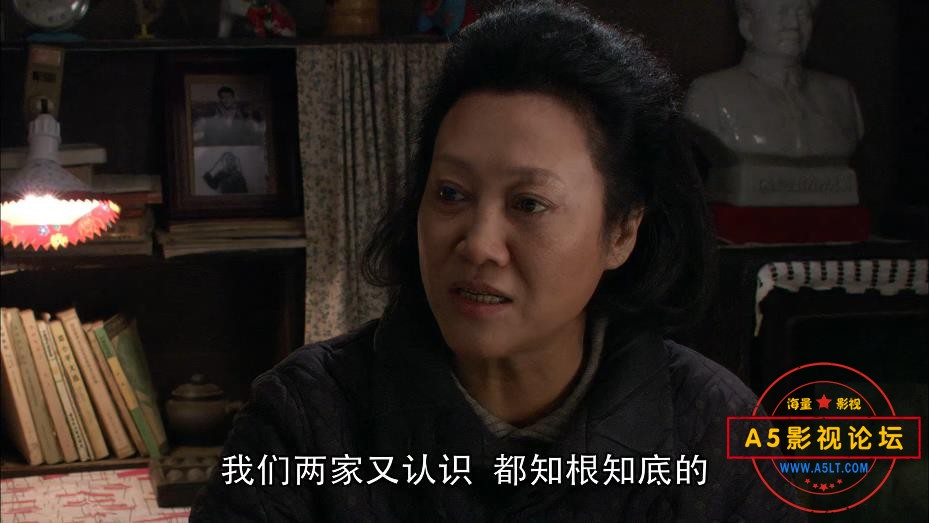 电视剧小麦进城玉下载