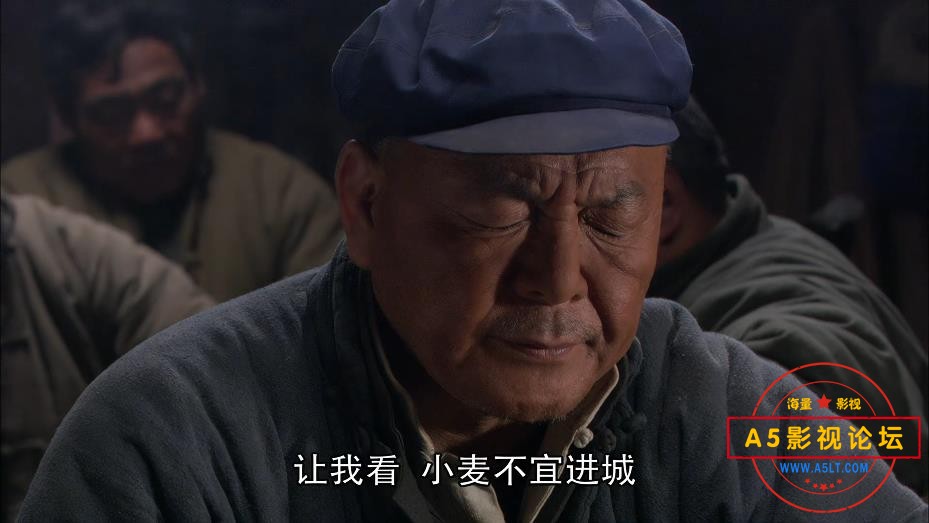 视剧小麦进城玉下载