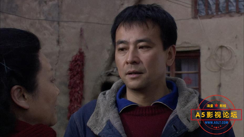 电视剧小麦进城玉网盘资源,
