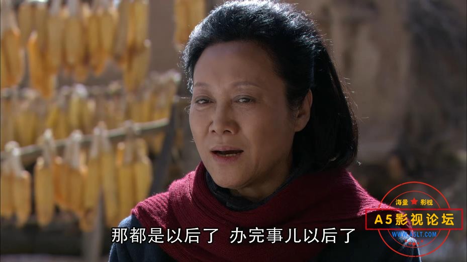 电视剧小麦进城玉网盘资源,