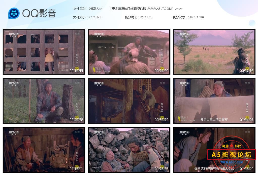 策马入林迅雷下载