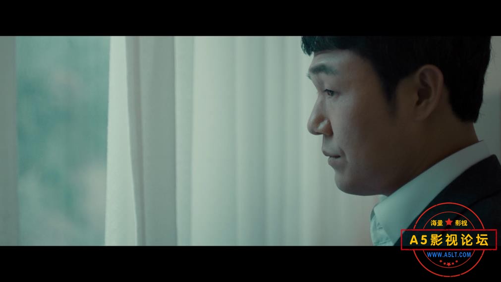王道国语高清下载