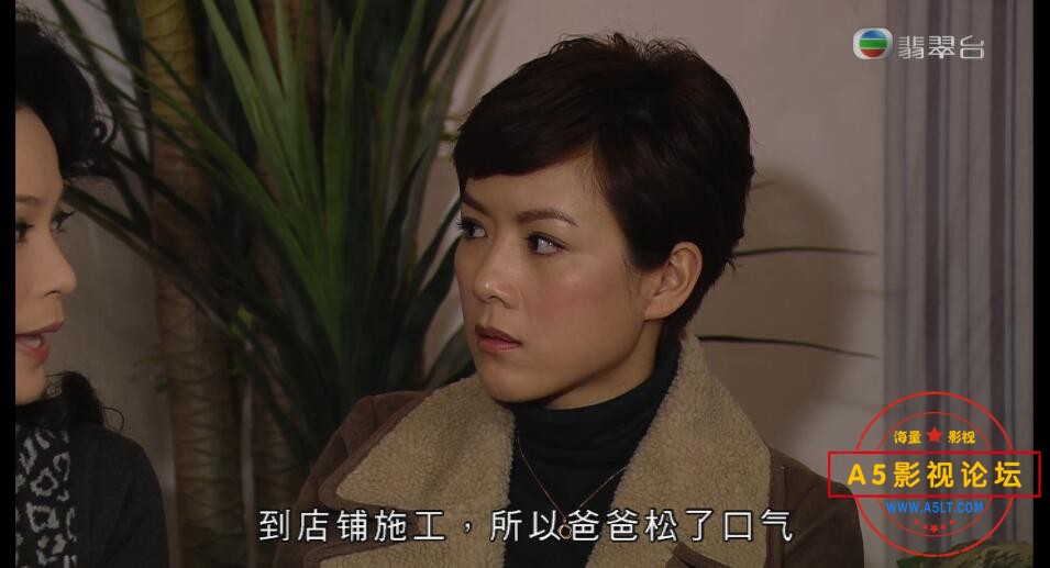 电视剧单恋双城下载