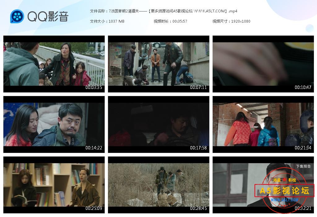 电视剧法医秦明迅雷云盘下载
