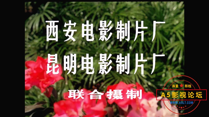 134654bqgpjn94r2j9r152_副本.jpg