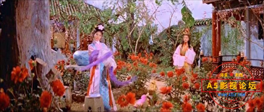 情节图2