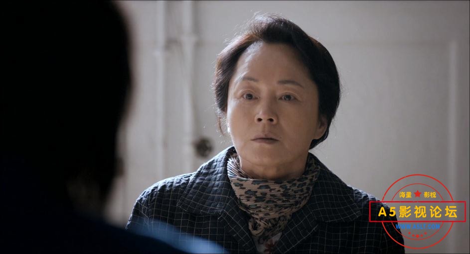 辩护人网盘资源,