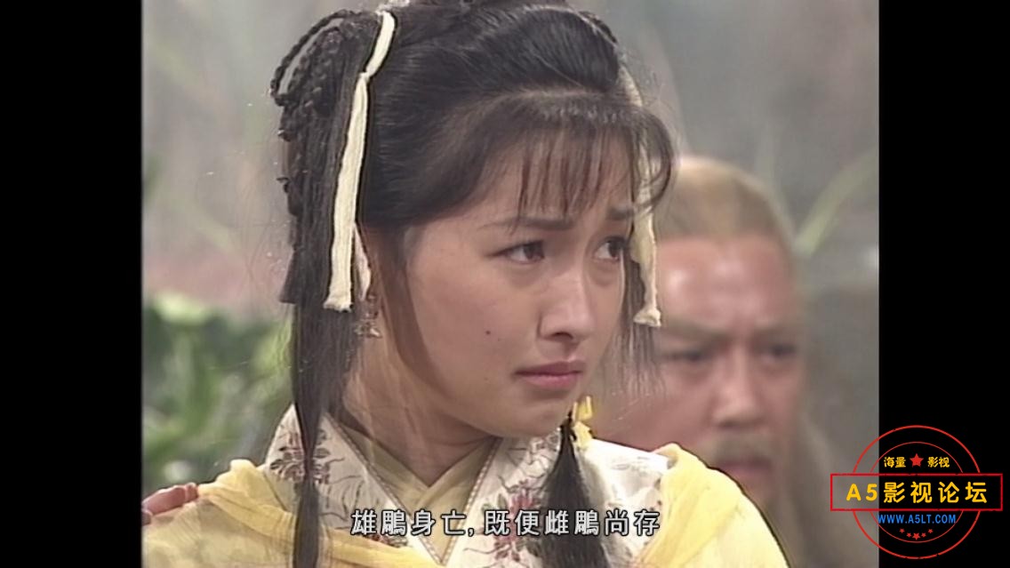 神雕侠侣下载