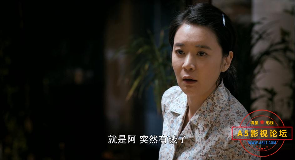 辩护人百度网盘下载