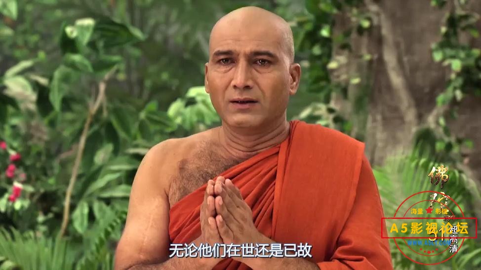 佛陀下载